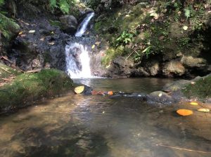 river 1