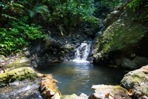 river 2